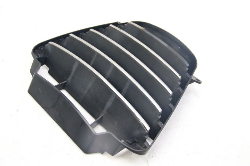 photo de RADIATOR GRILLE PIAGGIO MP3 125 (2006 - 2014)