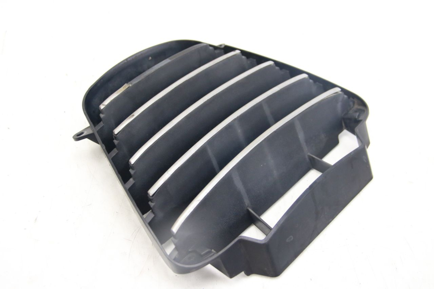 photo de RADIATOR GRILLE PIAGGIO MP3 125 (2006 - 2014)