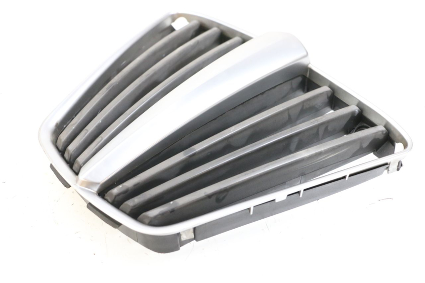 photo de RADIATOR GRILLE PIAGGIO MP3 125 (2006 - 2014)