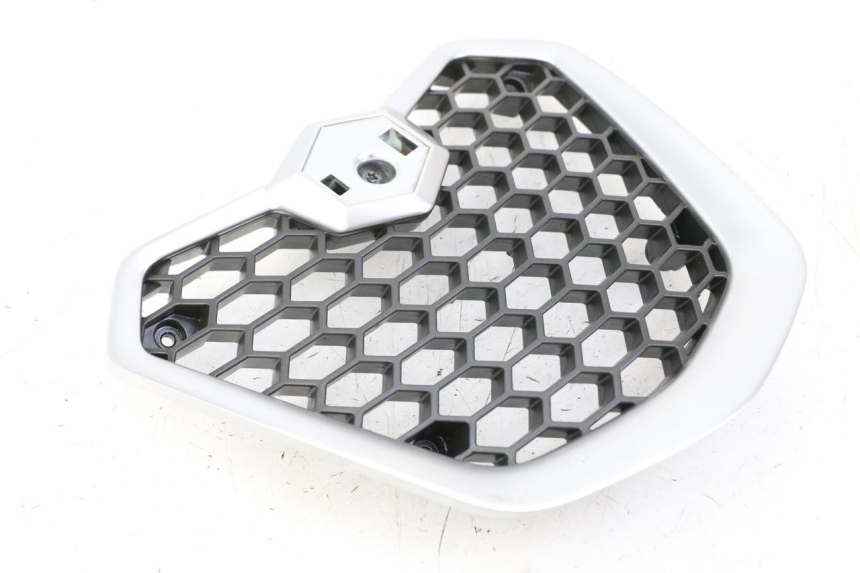 photo de RADIATOR COVER PIAGGIO MP3 500 (2014 - 2016)