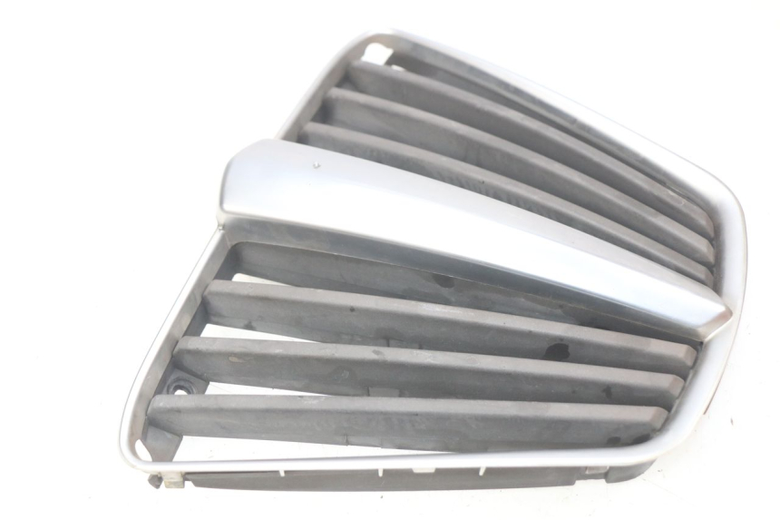 photo de RADIATOR GRILLE PIAGGIO MP3 LT 400 (2007 - 2012)