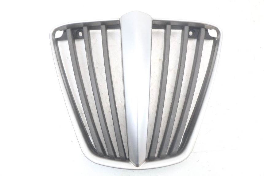 photo de RADIATOR GRILLE PIAGGIO MP3 LT 400 (2007 - 2012)