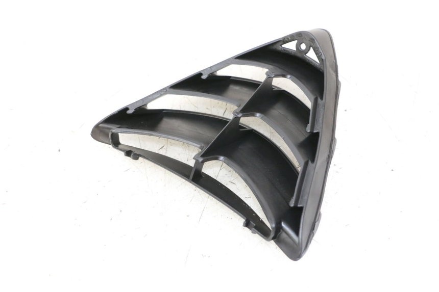 photo de RADIATOR COVER PIAGGIO NRG POWER PUREJET 50 (2018 - 2021)