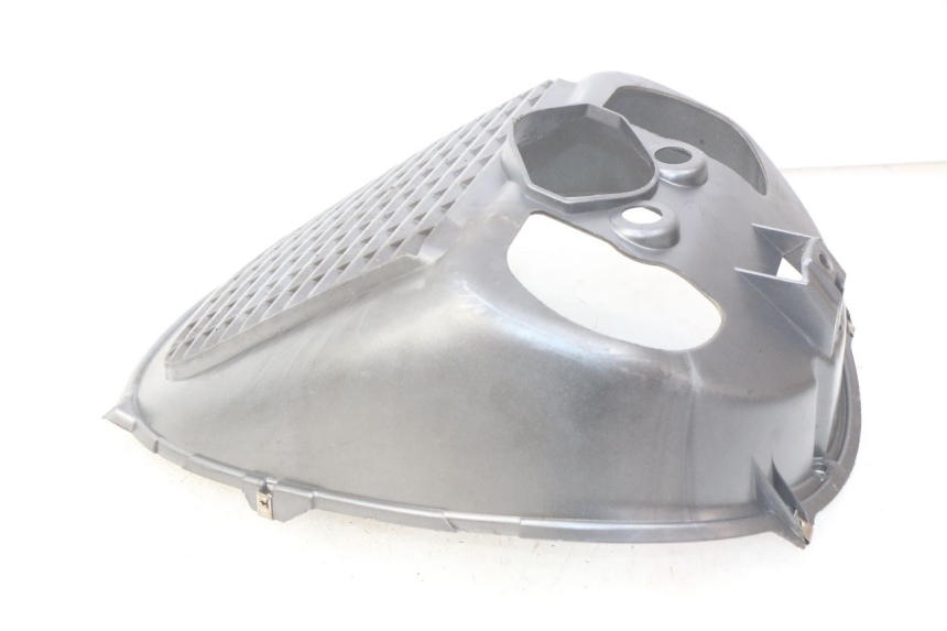 photo de RADIATOR GRILLE PIAGGIO X9 EVOLUTION 125 (2003 - 2007)