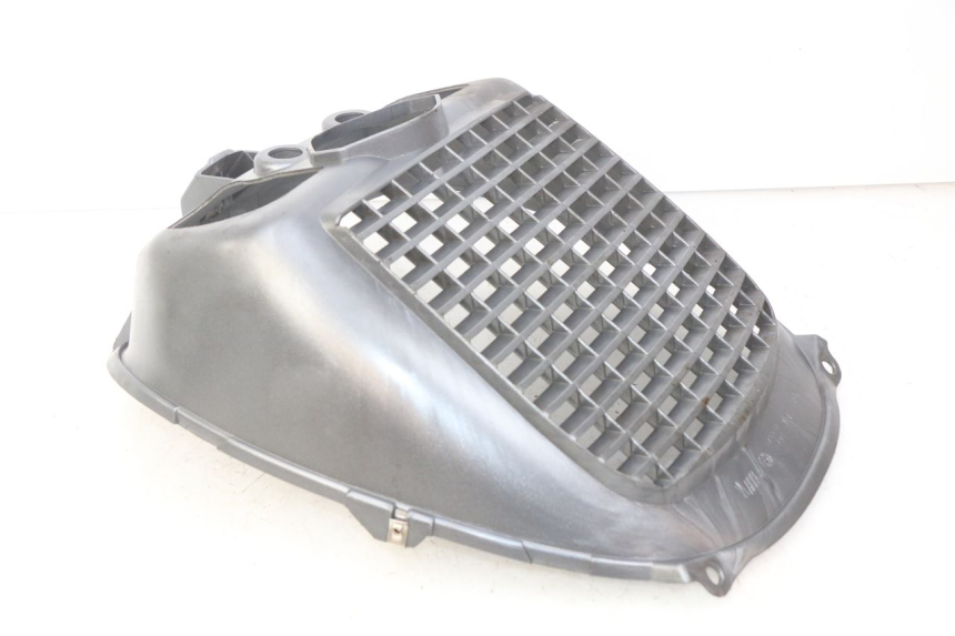 photo de RADIATOR GRILLE PIAGGIO X9 EVOLUTION 125 (2003 - 2007)