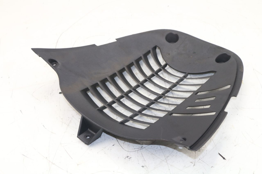 photo de RADIATOR COVER MBK SKYLINER 125 (2001 - 2003)