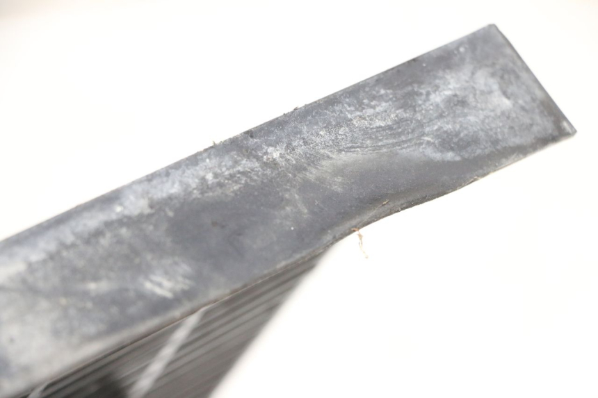 photo de RADIATOR COVER TRIUMPH SPRINT 900 (1995 - 1998)