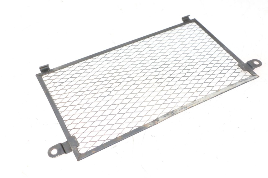 photo de RADIATOR GRILLE YAMAHA TDM ABS 900 (2002 - 2014)