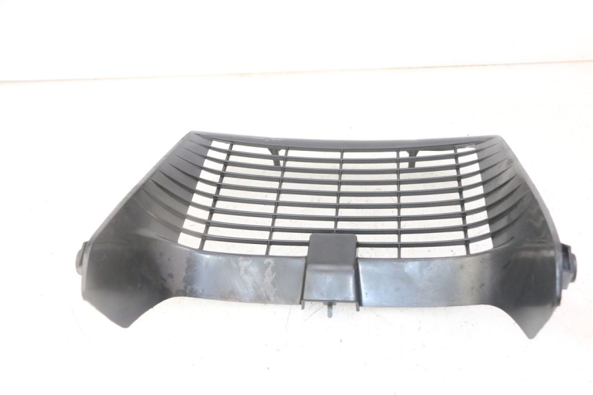 photo de RADIATOR COVER YAMAHA TDR DELTABOX 125 (1993 - 2003)