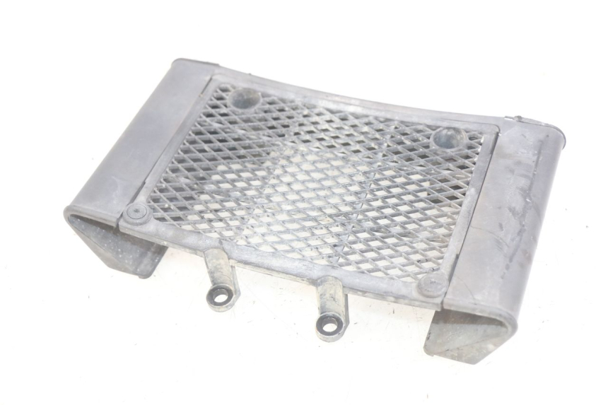photo de RADIATOR GRILLE DAELIM VL DAYSTAR 125 (2000 - 2011)