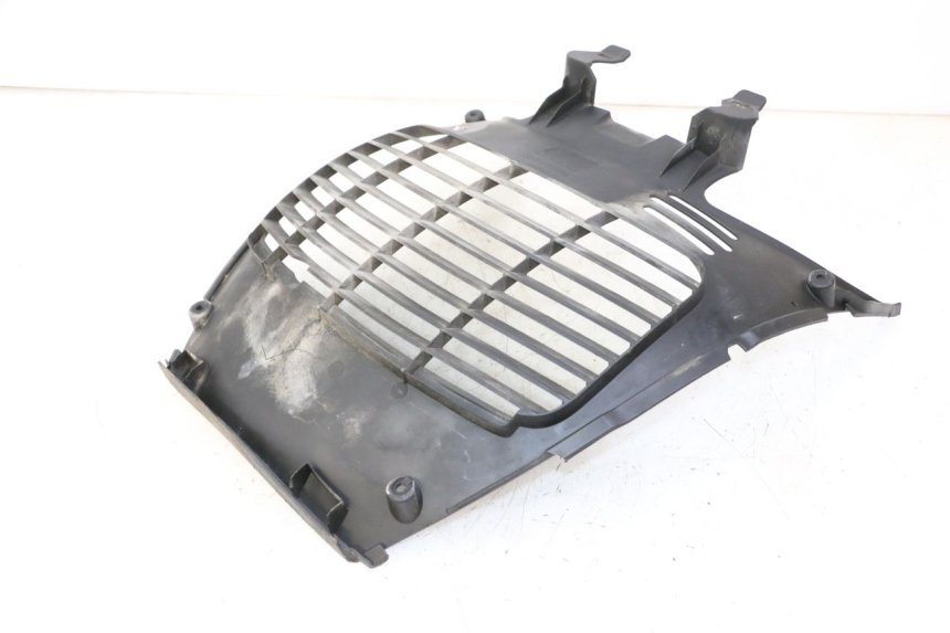 photo de RADIATOR COVER YAMAHA X-CITY XCITY 125 (2007 - 2008)