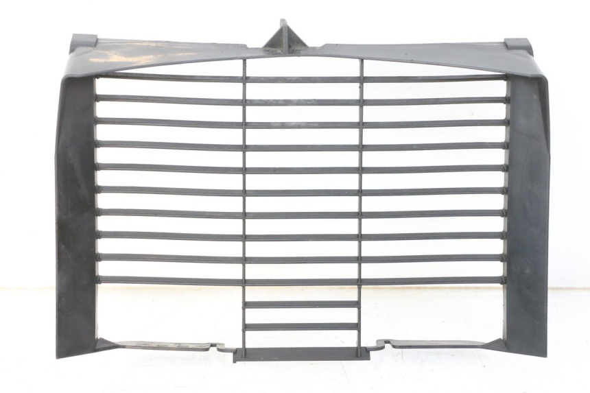 photo de RADIATOR COVER YAMAHA XJ6 ABS 600 (2008 - 2016)