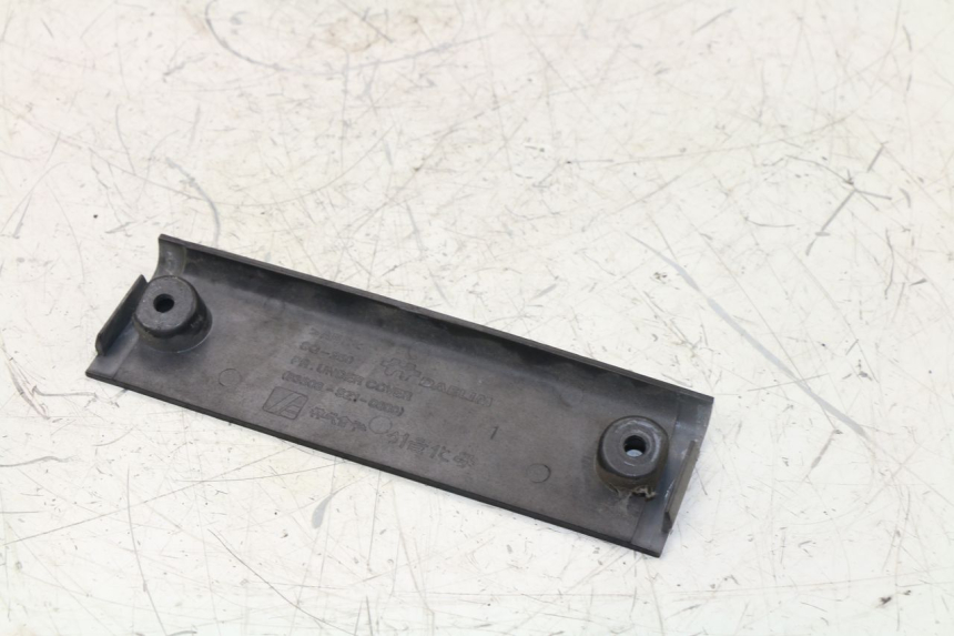 photo de REAR LOWER MIDDLE PANEL DAELIM S2 125 (2006 - 2007)