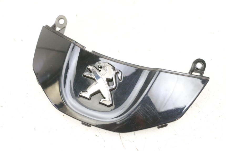 photo de REAR LOWER MIDDLE PANEL PEUGEOT TWEET PRO EFI 4T 50 (2021 - 2022)