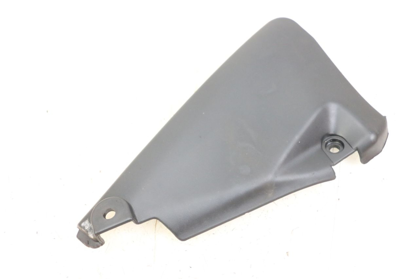 photo de REAR LOWER MIDDLE PANEL DAELIM VL DAYSTAR 125 (2000 - 2011)