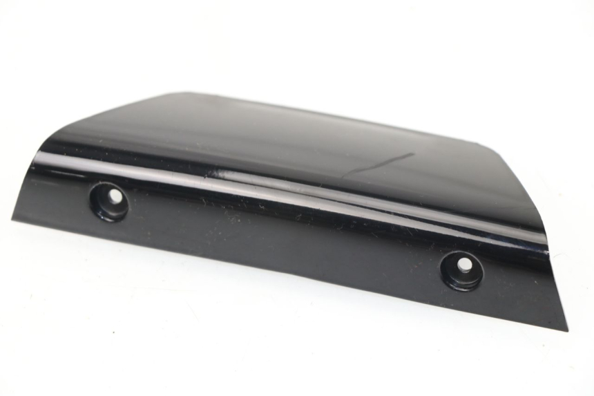 photo de REAR MIDDLE PANEL DAELIM S2 FI 125 (2008 - 2017)