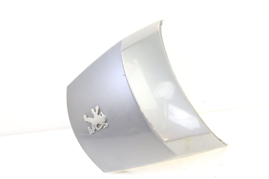 photo de REAR MIDDLE PANEL PEUGEOT SATELIS 250 (2006 - 2012)