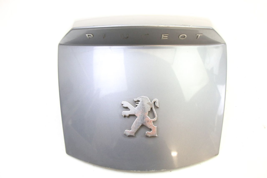 photo de REAR MIDDLE PANEL PEUGEOT SATELIS 250 (2006 - 2012)