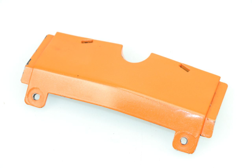 photo de REAR UPPER MIDDLE PANEL RIEJU RS3 50 (2010 - 2018)