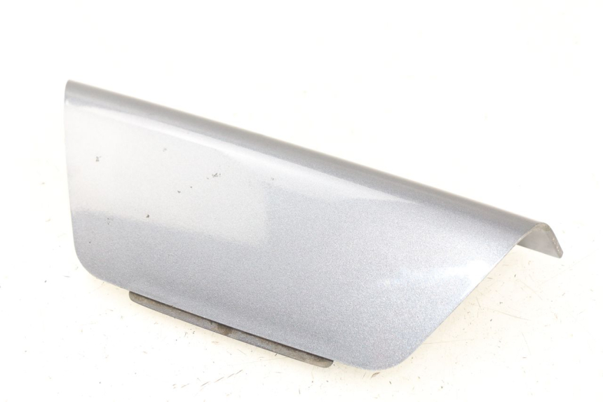 photo de REAR UPPER MIDDLE PANEL DAELIM S2 125 (2006 - 2007)