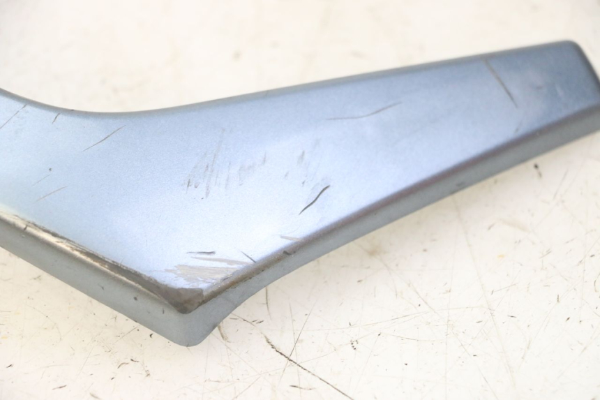 photo de FRONT MIDDLE PANEL DAELIM HISTORY 125 (2001 - 2002)