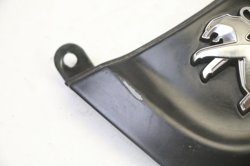 photo de FRONT MIDDLE PANEL PEUGEOT TWEET 4T 50 (2018 - 2020)