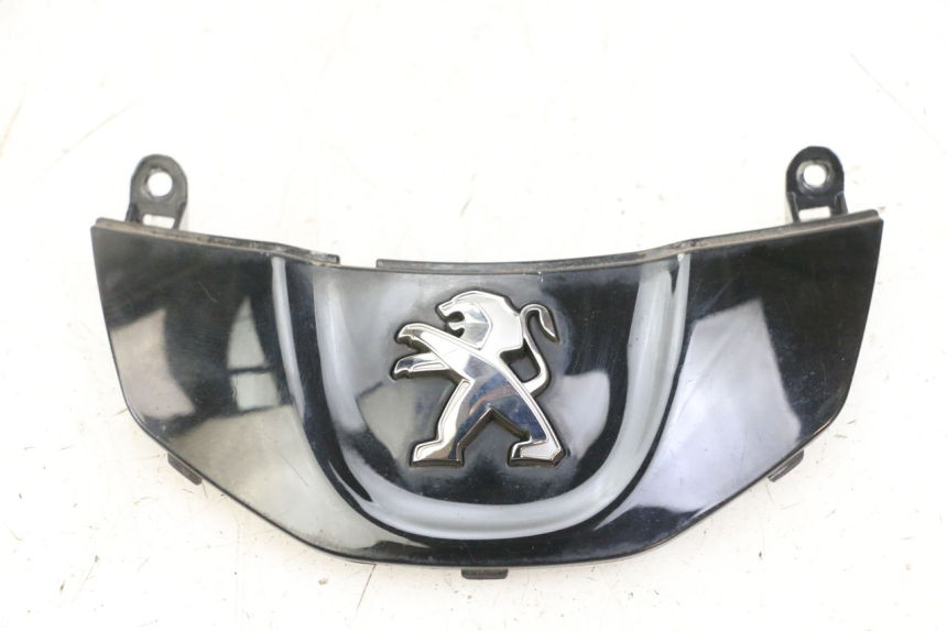 photo de FRONT MIDDLE PANEL PEUGEOT TWEET PRO CARGO 50 (2018 - 2020) - Main view