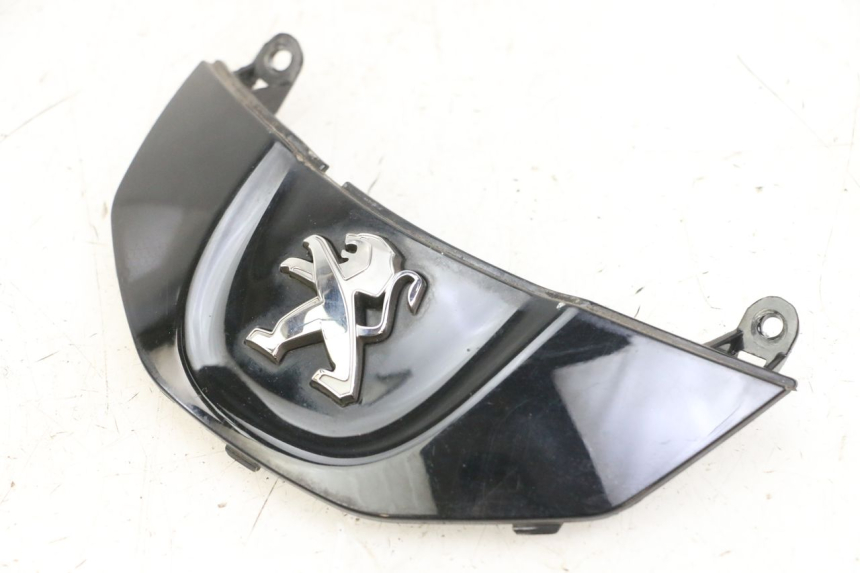 photo de FRONT MIDDLE PANEL PEUGEOT TWEET PRO CARGO 50 (2018 - 2020) - Alternative perspective