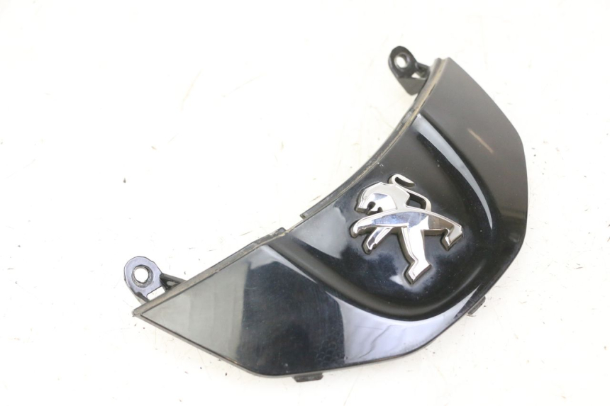 photo de FRONT MIDDLE PANEL PEUGEOT TWEET PRO CARGO 50 (2018 - 2020) - Technical close-up