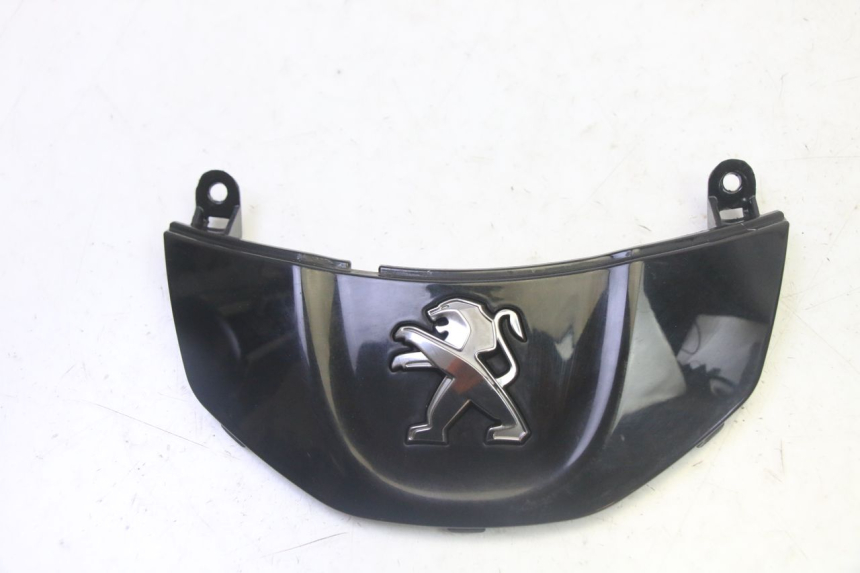 photo de FRONT MIDDLE PANEL PEUGEOT TWEET PRO CARGO 50 (2018 - 2020)