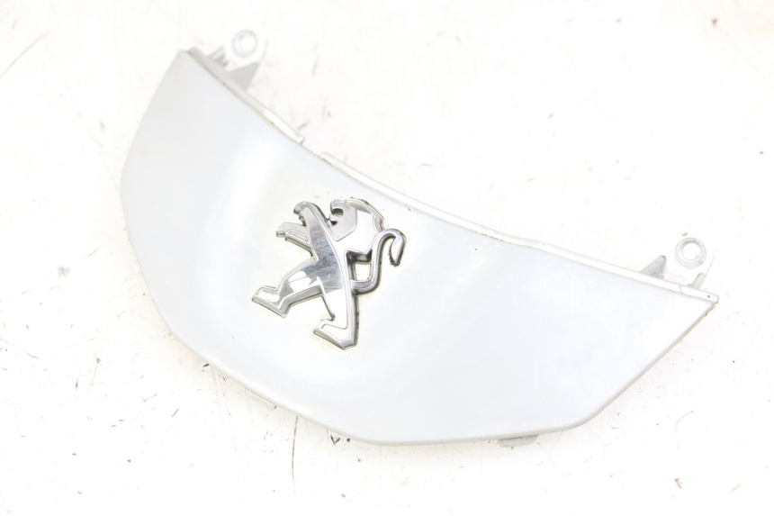 photo de FRONT MIDDLE PANEL  PEUGEOT TWEET 4T 50 (2014 - 2019)