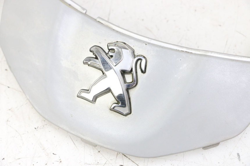 photo de FRONT MIDDLE PANEL  PEUGEOT TWEET 4T 50 (2014 - 2019)