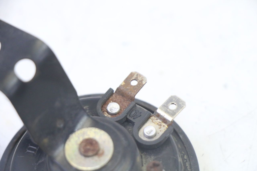 photo de HORN STAHO FH 50 (2018 - 2019)