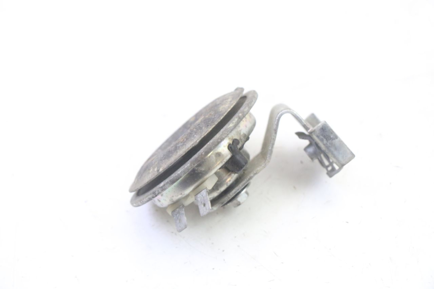 photo de HORN PIAGGIO MP3 RL 250 (2007 - 2010)