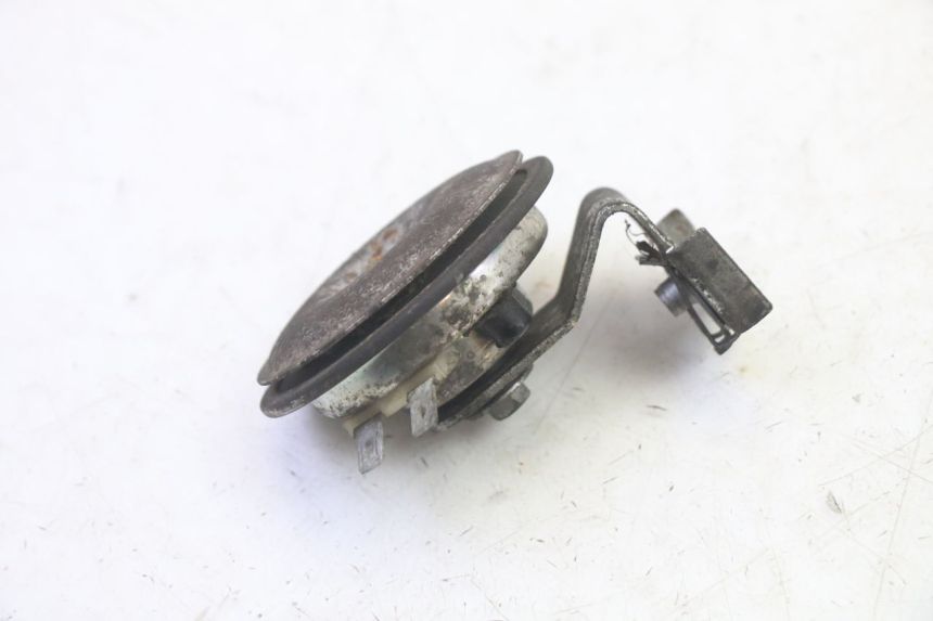 photo de HORN PIAGGIO MP3 RL 250 (2007 - 2010)