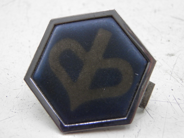 photo de BRAND LOGO PIAGGIO X9 EVOLUTION 125 (2003 - 2007)