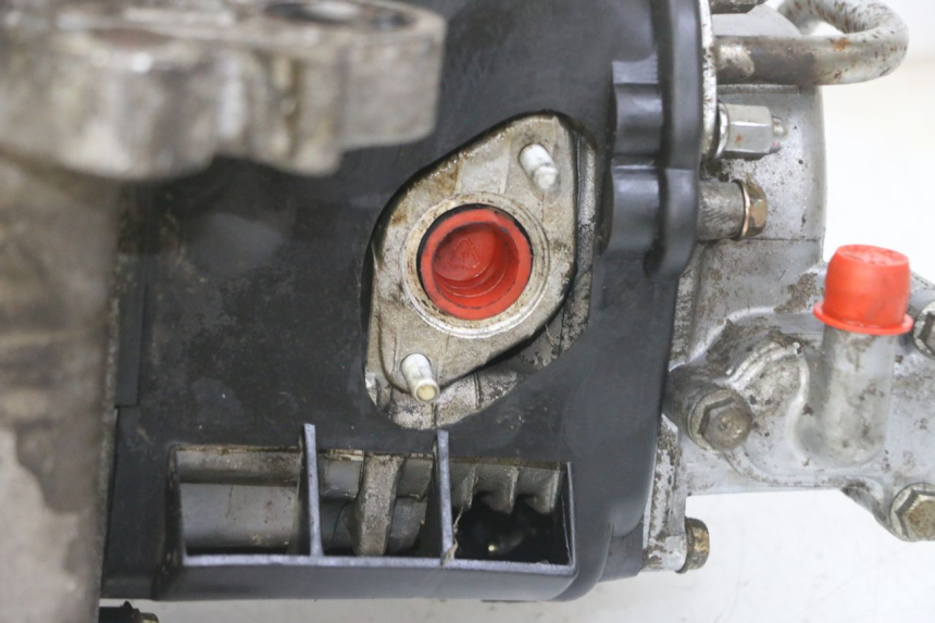 photo de ENGINE KYMCO AGILITY 4T 50 (2005 - 2018)