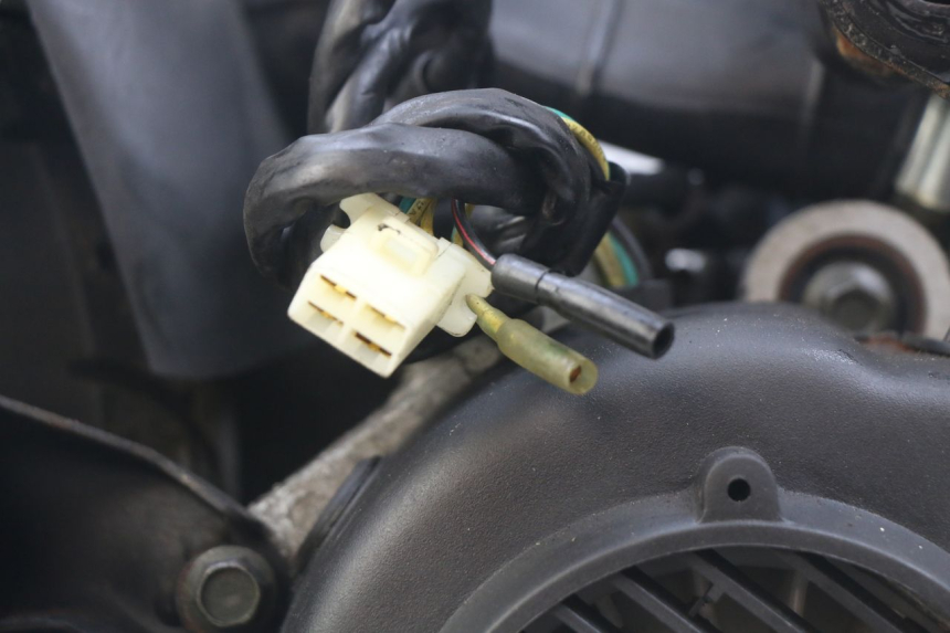 photo de ENGINE WILDLANDER BISCUIT 125 (2004 - 2010)