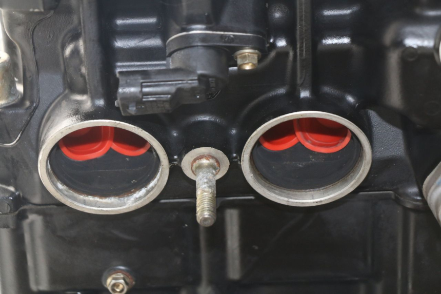 photo de ENGINE MV AGUSTA BRUTALE R WALLY 910 (2008 - 2008)