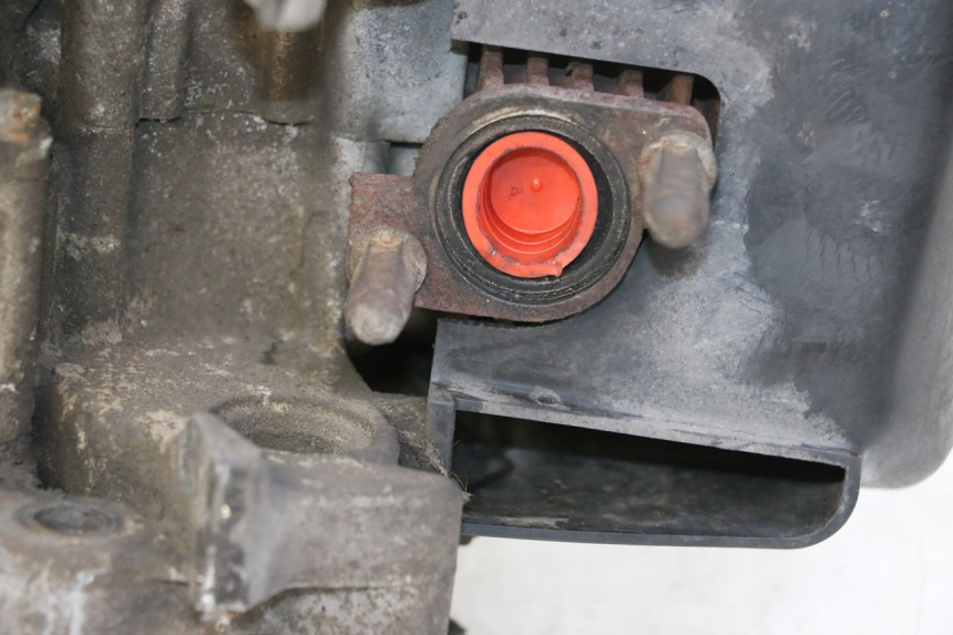 photo de ENGINE PEUGEOT CITYSTAR 50 (2013 - 2017)
