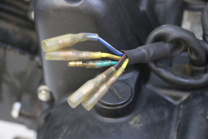 photo de ENGINE STAHO FH 50 (2018 - 2019)