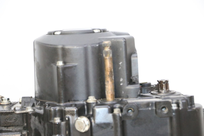 photo de ENGINE STAHO FH 50 (2018 - 2019)