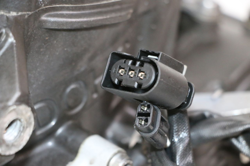 photo de ENGINE BMW G310 R 310 (2016 - 2020)