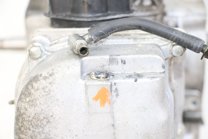 photo de ENGINE JM MOTORS SUNNY 50 (2017 - 2020)
