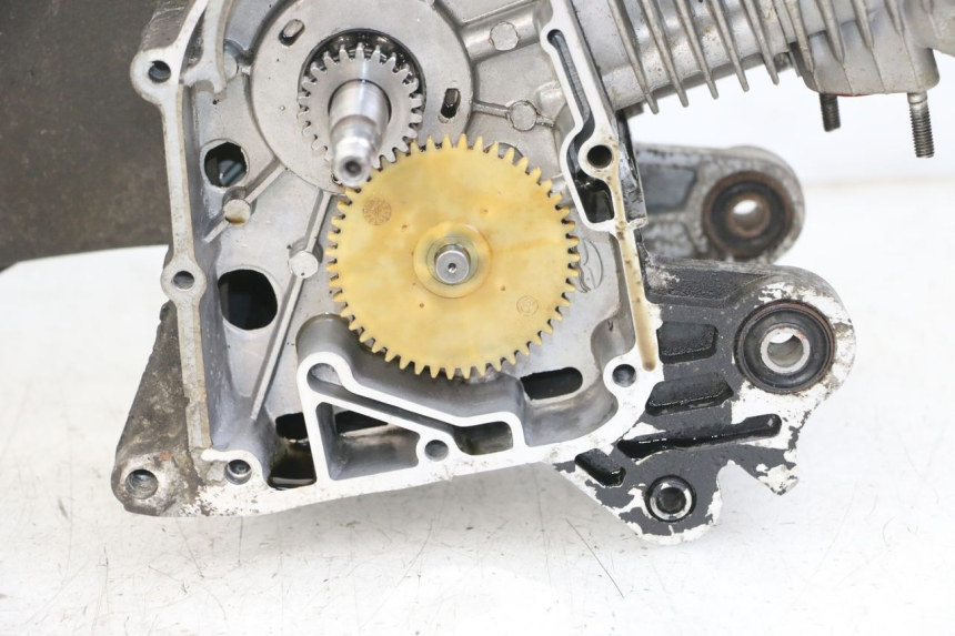 photo de ENGINE JM MOTORS SUNNY 50 (2017 - 2020)