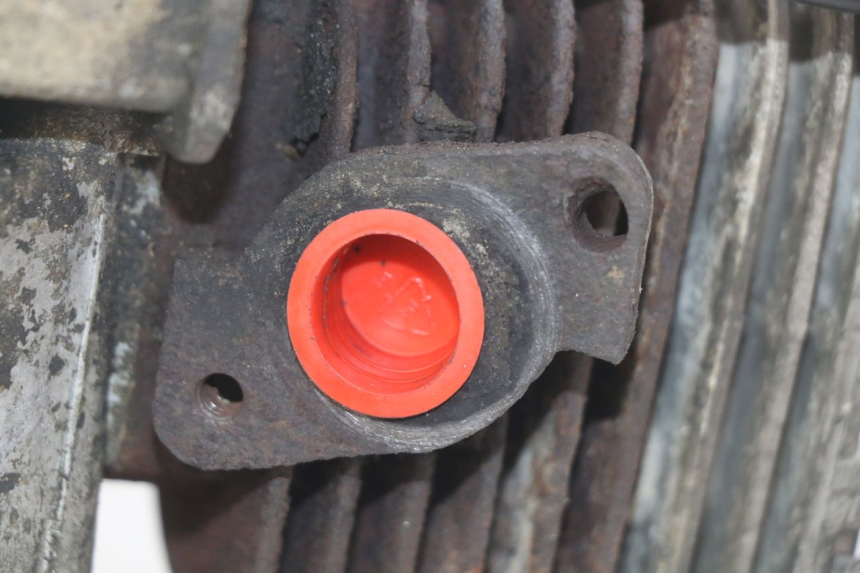 photo de ENGINE KEEWAY F-ACT FACT 50 (2006 - 2011)