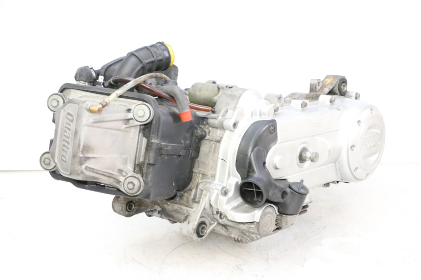 photo de ENGINE PIAGGIO LXV 4T 50 (2009 - 2013)