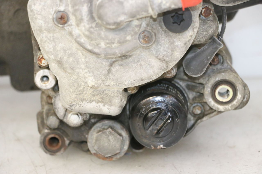 photo de ENGINE PIAGGIO MP3 RL 250 (2007 - 2010)