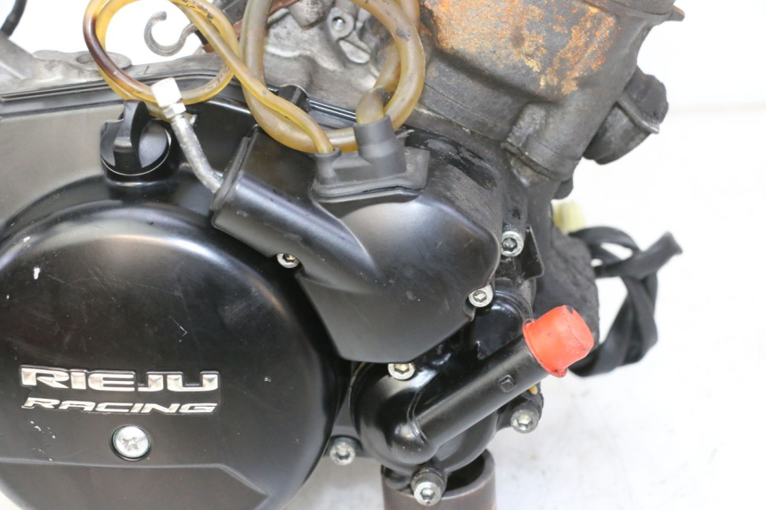 photo de ENGINE RIEJU MRT 50 (2018 - 2021)