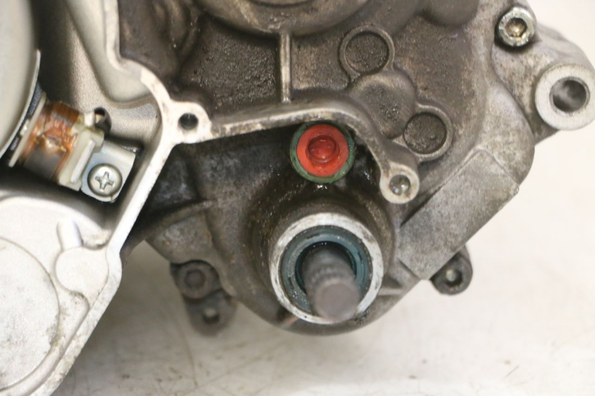 photo de ENGINE RIEJU MRT 50 (2018 - 2021)